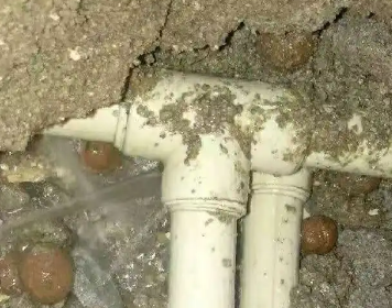 株洲市测漏水多少钱