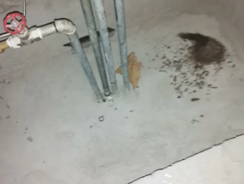 株洲市卫生间测漏水价格明细