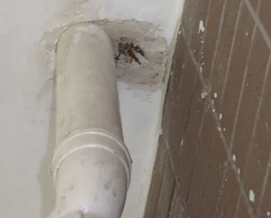 株洲市漏水检测哪家好